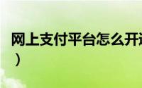 网上支付平台怎么开通（网上支付平台有哪些）