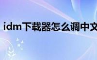 idm下载器怎么调中文（idm下载器怎么用）
