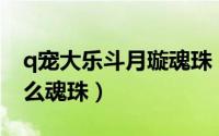 q宠大乐斗月璇魂珠（Q宠大乐斗短剑使用什么魂珠）