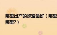 哪里出产的蜂蜜最好（哪里的蜂蜜最好?好蜂蜜的盛产地是哪里?）