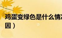 鸡蛋变绿色是什么情况（鸡蛋变绿色是什么原因）