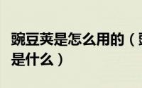 豌豆荚是怎么用的（豌豆荚怎么用手机豌豆荚是什么）