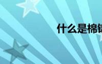 什么是棉锦阻燃面料