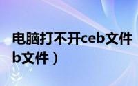 电脑打不开ceb文件（win10电脑如何打开ceb文件）
