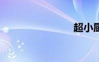 超小厨（C）