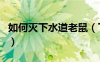 如何灭下水道老鼠（下水道有老鼠怎样消灭它）