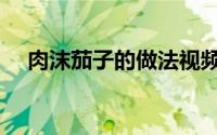 肉沫茄子的做法视频（肉沫茄子的做法）