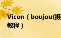 Vicon（boujou(摄像机跟踪软件)图文安装教程）