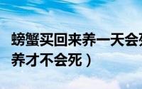 螃蟹买回来养一天会死吗（买回来的螃蟹怎么养才不会死）