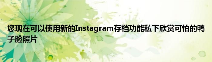 您现在可以使用新的Instagram存档功能私下欣赏可怕的鸭子脸照片