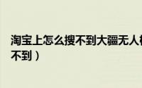 淘宝上怎么搜不到大疆无人机了（大疆无人机淘宝为什么搜不到）
