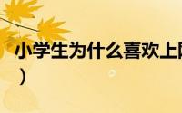 小学生为什么喜欢上网（小学生上网爱做什么）