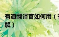 有道翻译官如何用（有道翻译在线翻译方法详解）