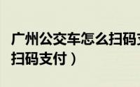 广州公交车怎么扫码支付图（广州公交车怎么扫码支付）