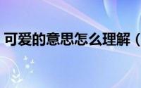 可爱的意思怎么理解（可爱的意思怎么解释）
