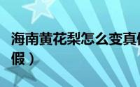海南黄花梨怎么变真假（海南黄花梨怎么看真假）