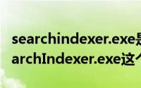 searchindexer.exe是什么进程（如何禁用SearchIndexer.exe这个进程）