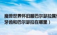 魔兽世界怀旧服巴尔瑟拉属性（怀旧服任务猎豹巴尔瑟拉的牙齿和巴尔瑟拉在哪里）