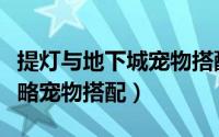 提灯与地下城宠物搭配贴吧（提灯与地下城攻略宠物搭配）