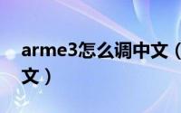 arme3怎么调中文（arma3正版怎么设置中文）