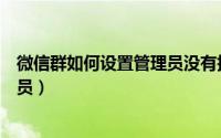 微信群如何设置管理员没有指定人员（微信群如何设置管理员）