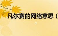 凡尔赛的网络意思（凡尔赛的网络意思）
