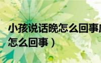 小孩说话晚怎么回事应该怎么办（小孩说话晚怎么回事）