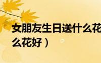 女朋友生日送什么花合适（朋友 女生日送什么花好）