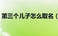 第三个儿子怎么取名（第三个儿子怎么称呼）
