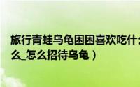 旅行青蛙乌龟困困喜欢吃什么（旅行青蛙乌龟困困喜欢吃什么_怎么招待乌龟）