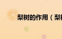 梨树的作用（梨树的作用与功效）
