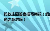 蚂蚁庄园答案描写梅花（蚂蚁庄园梅雨的梅是得名于杨梅成熟之意对吗）
