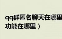 qq群匿名聊天在哪里打开（QQ群聊匿名聊天功能在哪里）