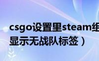 csgo设置里steam组战队标签（csgo创了组显示无战队标签）