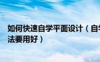 如何快速自学平面设计（自学平面设计应该怎么自学这些方法要用好）
