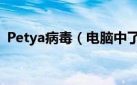 Petya病毒（电脑中了petya病毒怎样解密）