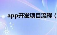 app开发项目流程（APP开发详细流程）