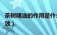 茶树精油的作用是什么（茶树精油的作用和功效）