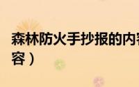 森林防火手抄报的内容（森林防火手抄报的内容）