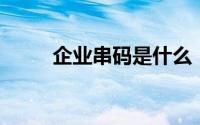 企业串码是什么（企业cms 文书）