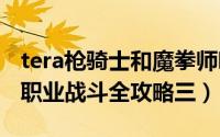 tera枪骑士和魔拳师哪个好T（TERA]枪骑士职业战斗全攻略三）