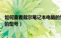 如何查看戴尔笔记本电脑的型号（如何查看戴尔笔记本电脑的型号）