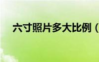 六寸照片多大比例（六寸照片多大尺寸）