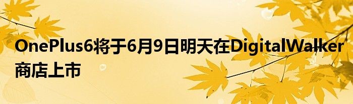 OnePlus6将于6月9日明天在DigitalWalker商店上市