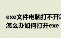 exe文件电脑打不开怎么办（EXE文件打不开怎么办如何打开exe）