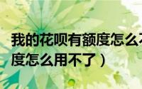我的花呗有额度怎么不能付款（我的花呗有额度怎么用不了）