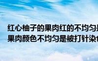 红心柚子的果肉红的不均匀是染色的么（蚂蚁庄园红心柚子果肉颜色不均匀是被打针染色吗）