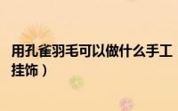 用孔雀羽毛可以做什么手工（孔雀羽毛手工艺品制作 孔雀毛挂饰）