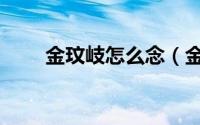金玟岐怎么念（金玟岐怎么念拼音）