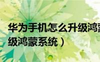 华为手机怎么升级鸿蒙系统（华为手机怎么升级鸿蒙系统）
